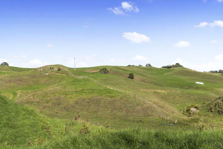 240 Ballintoy Park Drive Welcome Bay_16