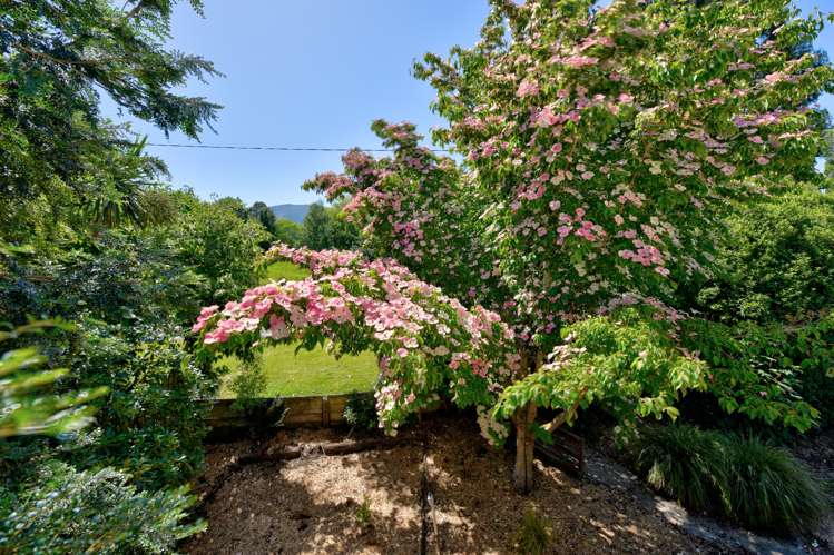 19 Surrey Street Tapanui_25