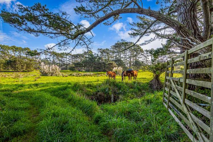 276 Taiapa Road Muriwai_22