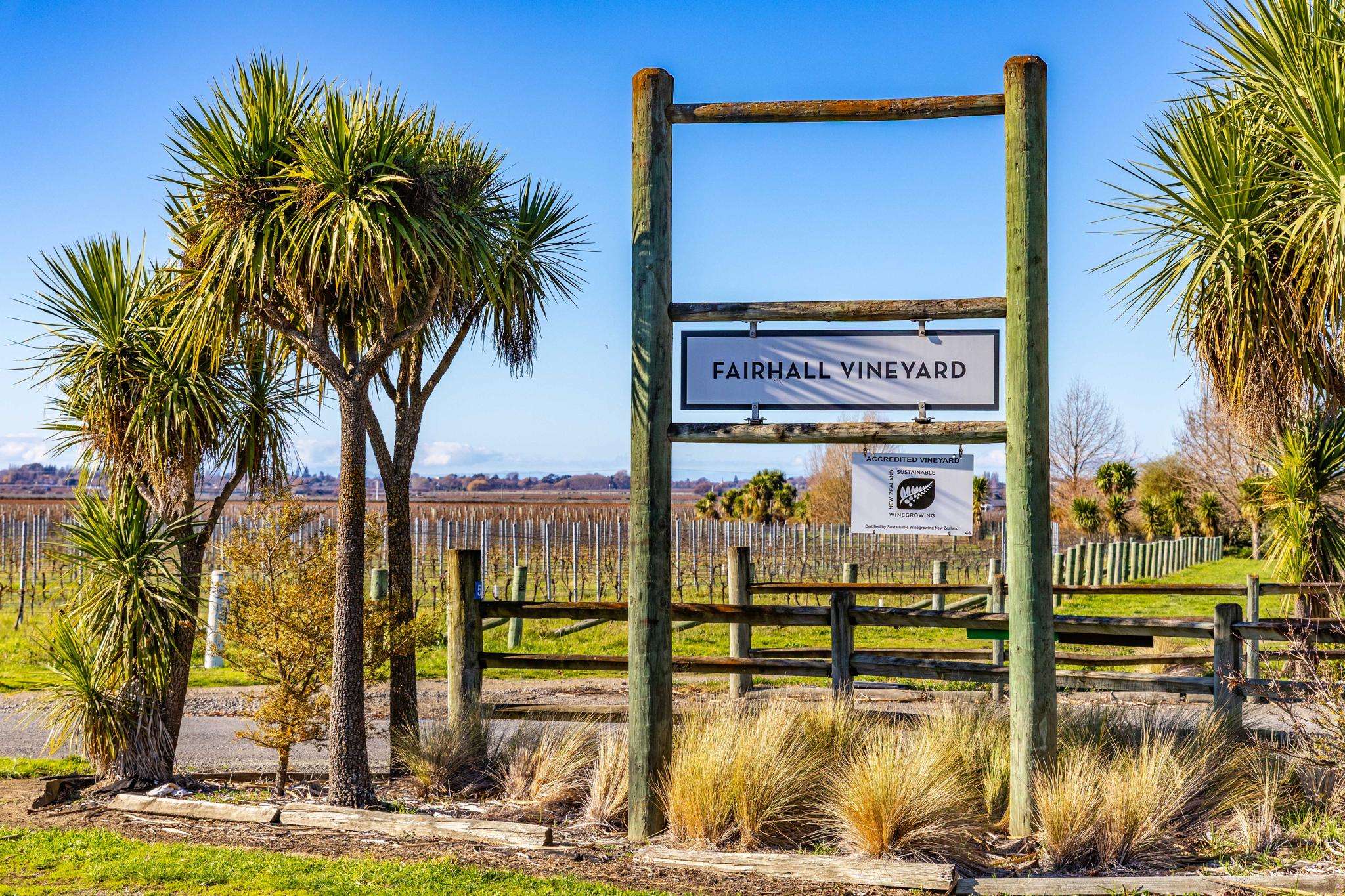 Vineyards in world-renowned Marlborough