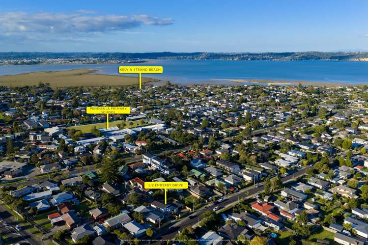 1/2 Enderby Drive Te Atatu Peninsula_25