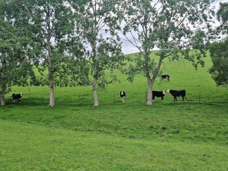 280 Old Bay Road Pakaraka_20