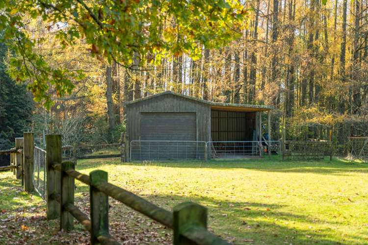 175 Forest Road Oruanui_33