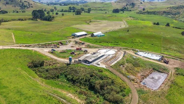 528 Monument Road Maramarua_26