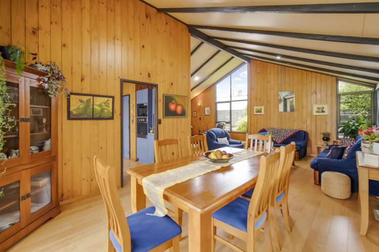 11 Caledonia Place Highlands Park_11