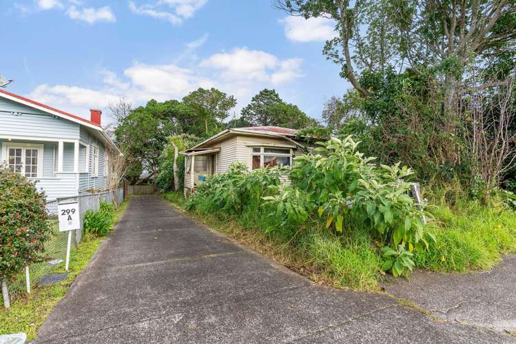 299 Mount Albert Road_2
