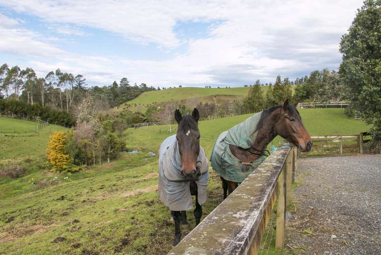 325d Rea Road Hauraki Surrounds_14