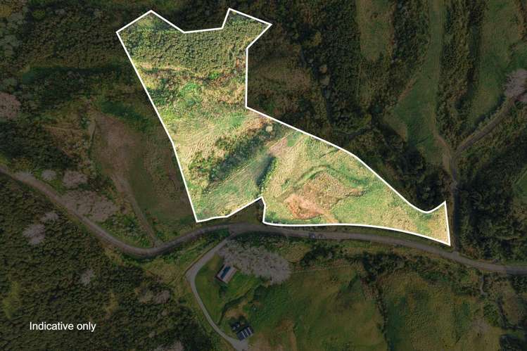 88 Waere Valley Lane Warkworth_6