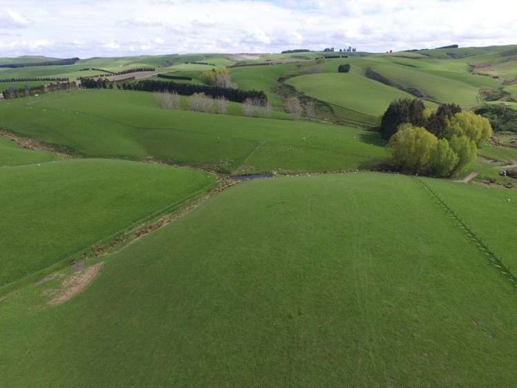 236 Kee Road Gore Surrounds_11