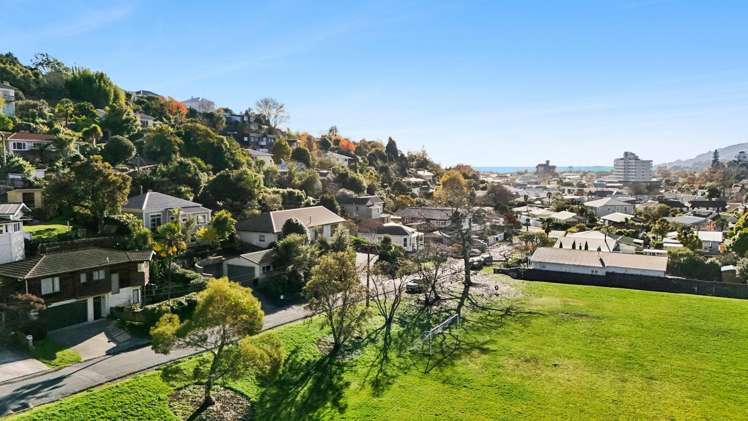 20 Renwick Place Nelson South_1