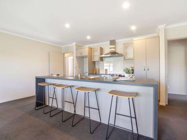 85 Brookside Road Rolleston_1