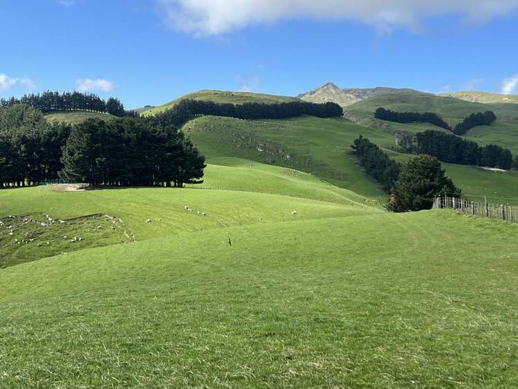 467 Waitahora Valley Road Dannevirke_2