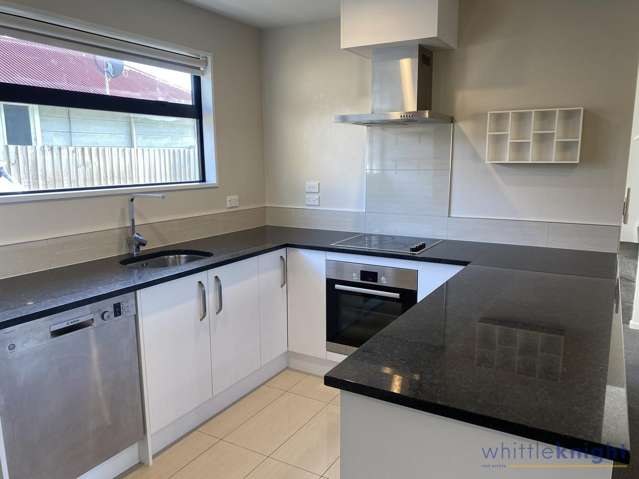 70b Burke Street Addington_3