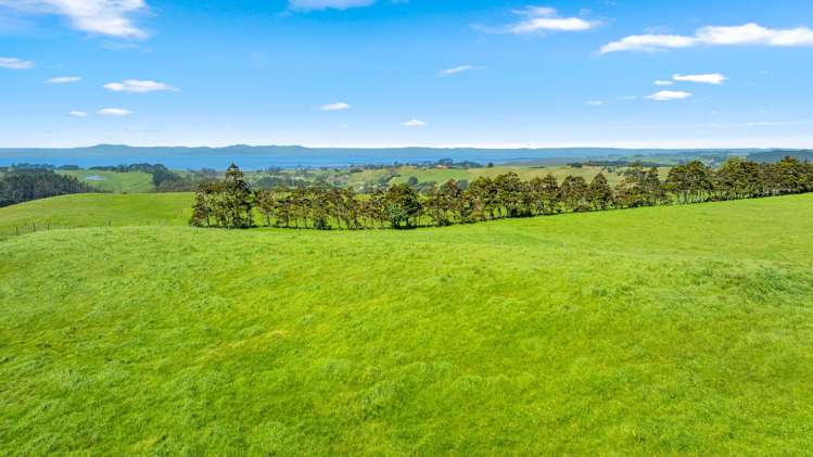 107 Fuller Road, South Head Helensville_40