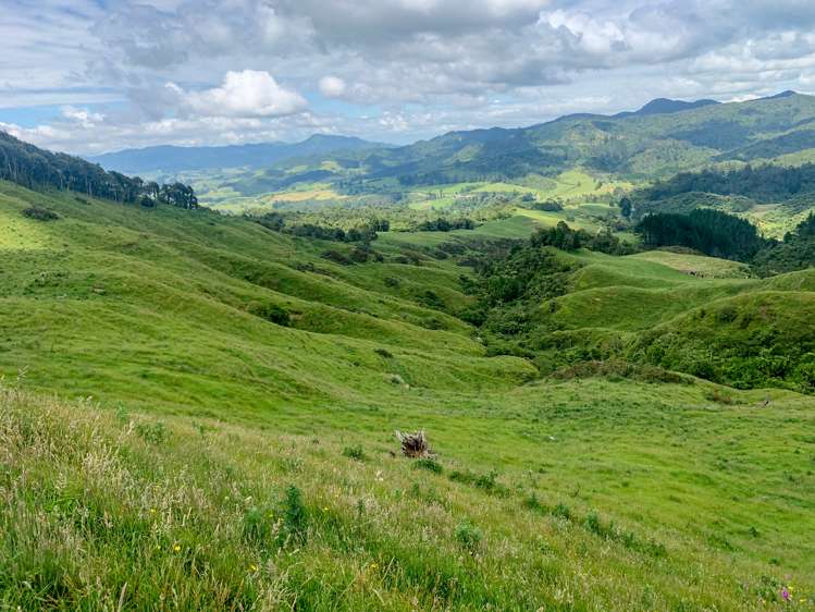 98 Golden Cross Road Waihi Hauraki Rural Property For Sale One Roof