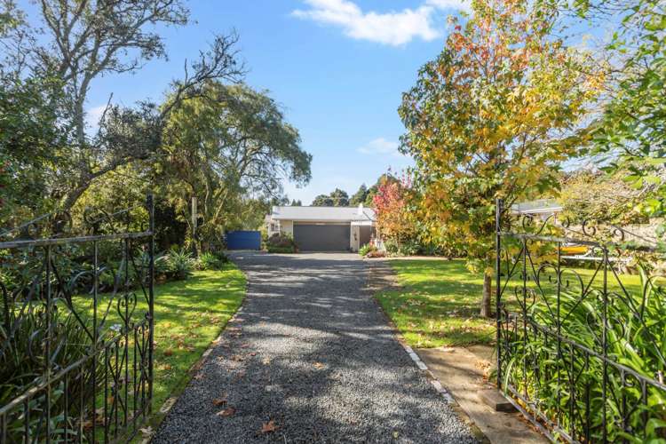 56 David Avenue Hillpark_26