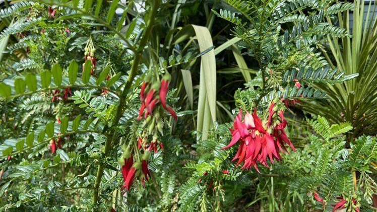 72 Toi Toi Street Toi Toi_34