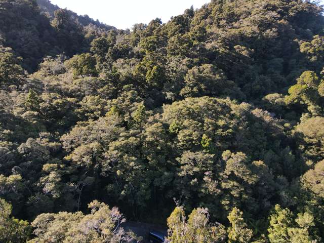 Fitzgerald Street Jackson Bay_4