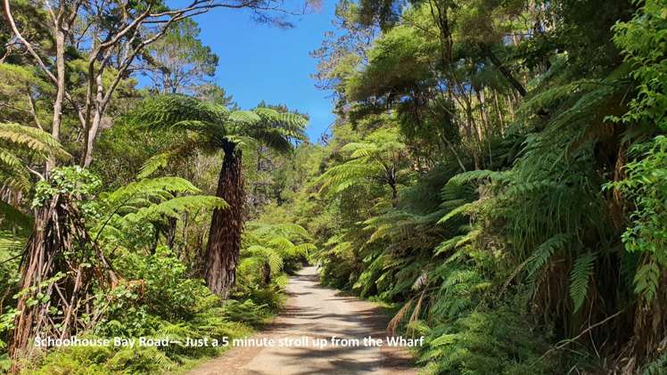 46 Schoolhouse Bay Road Kawau Island_21