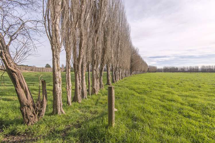 10 Jelfs Road Woodend_6