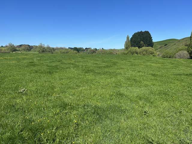 Lot 1, 51 Kiwi Road Pirongia_4