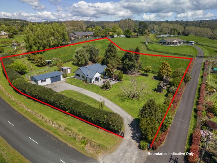 233 Ross Road Whakamarama_22