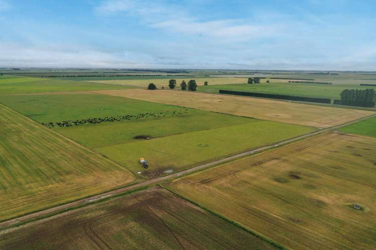 Burnham Road Temuka_7