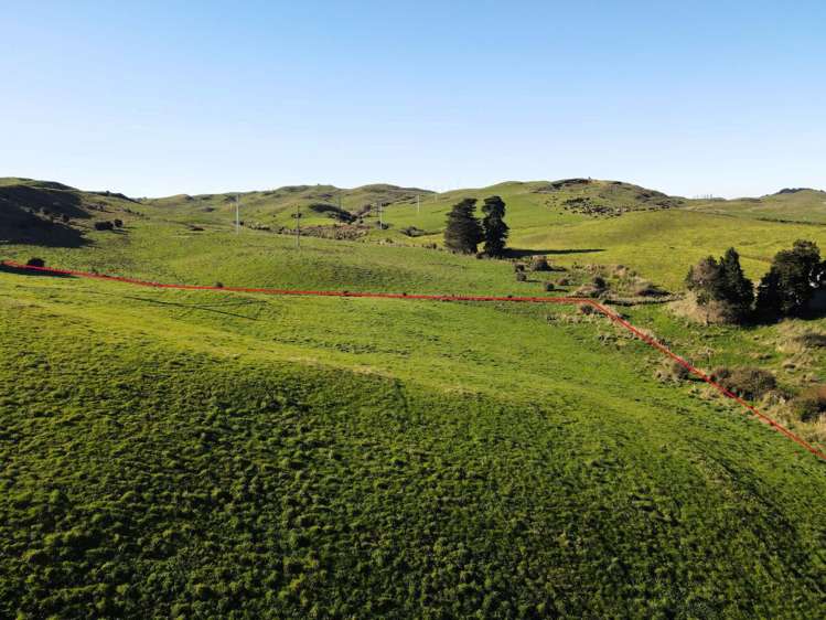 195 Garfield Road Norsewood_7