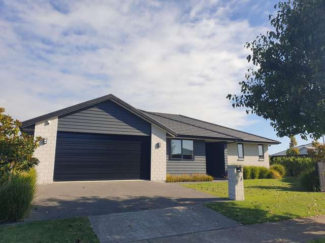 Modern sunny home in quiet neighbourhood