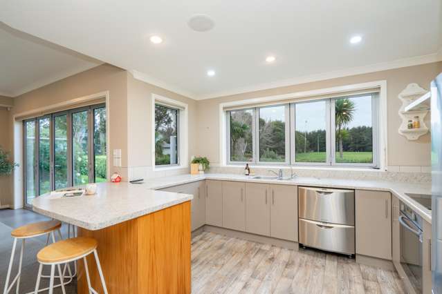 62 Glenroy Park Drive Waikiwi_3