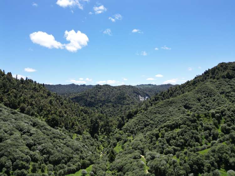 Trussells Track, Tawata Road Taumarunui_16