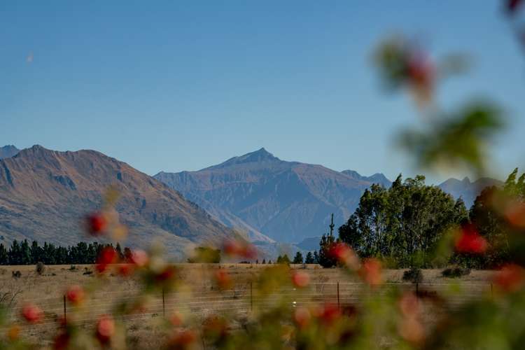 Lot 2, 154 Mount Barker Road Wanaka_8