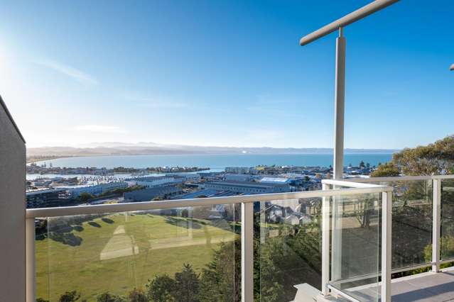 3/24 Hospital Terrace Hospital Hill_3