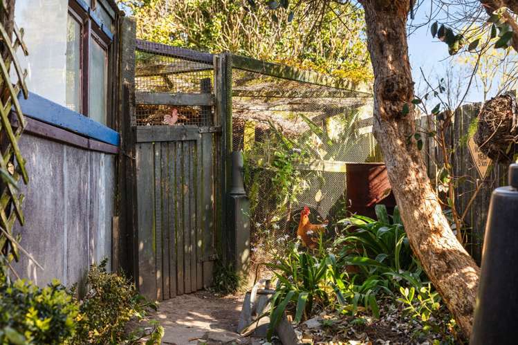 7 Murphy Road Wainui_22