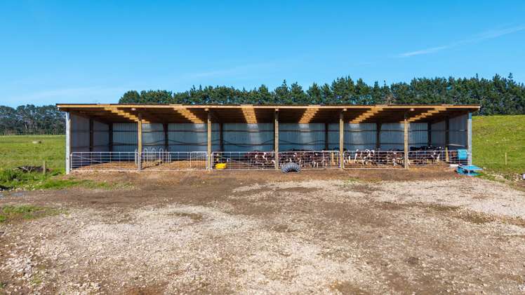 886 Kakariki Road Eketahuna_5