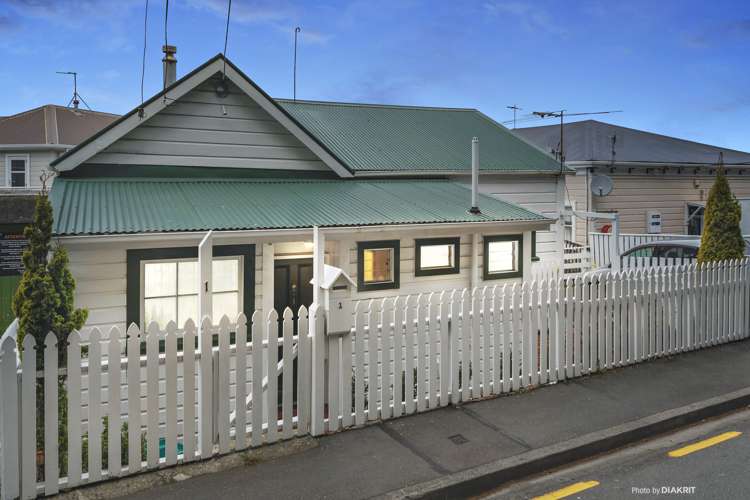 1 Mckenzie Terrace Te Aro_13