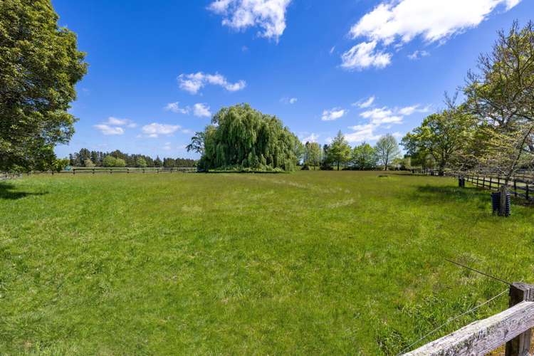 542 Kaipaki Road Ohaupo_15