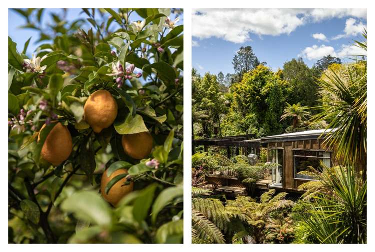 60 Victoria Street Waikino_52