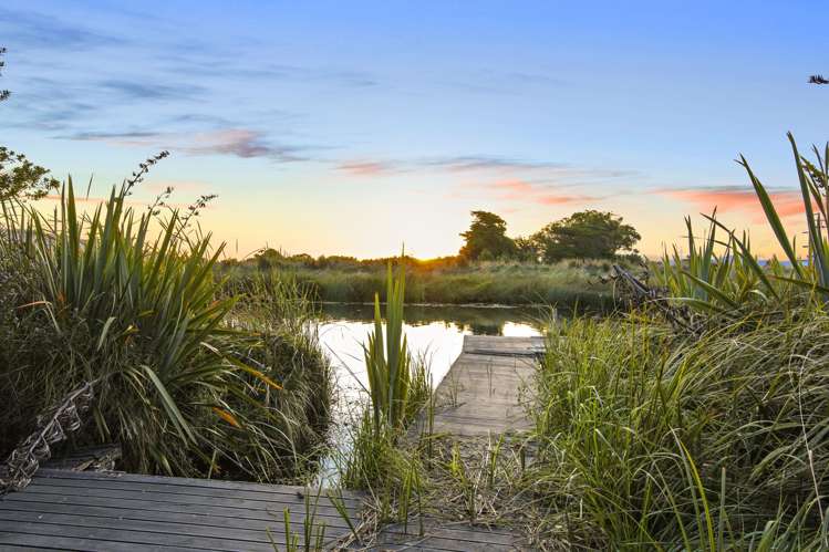 686 Dillons Point Road Dillons Point_22