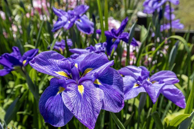 90-92 Kiwi Road Raumati Beach_13