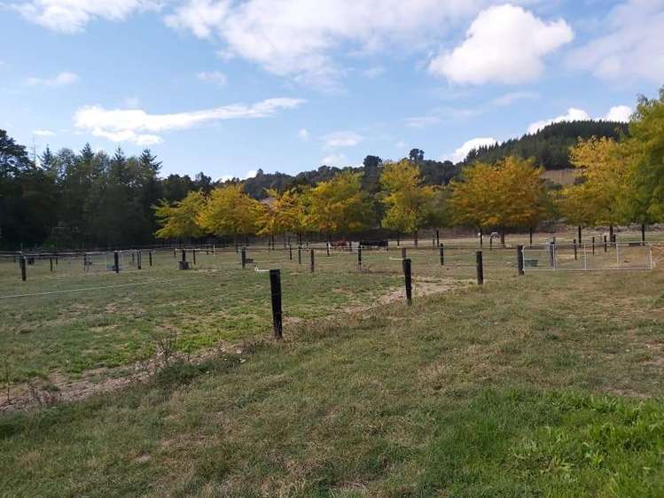 367 Wakefield-Kohatu Highway Wakefield_10