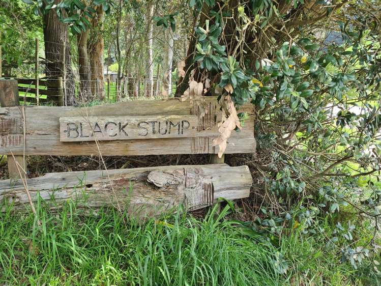 1321 Pack Spur Road Mataikona_32