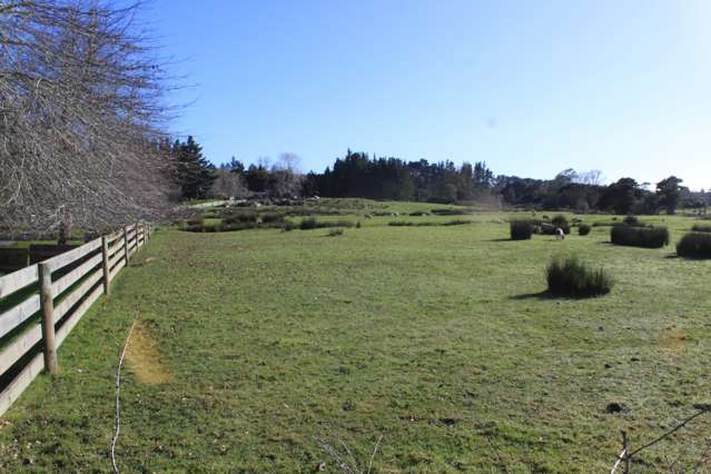 202 Pine Valley Road Dairy Flat_1