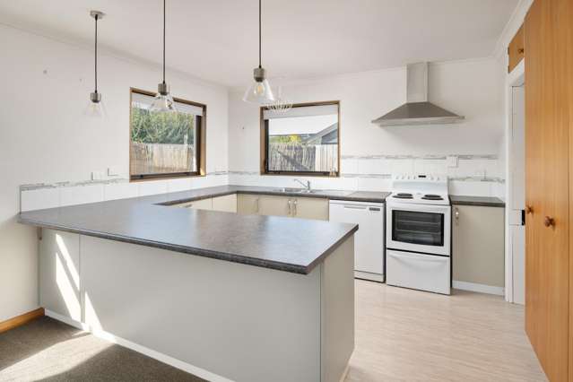 10A Francis Street Blenheim Central_1