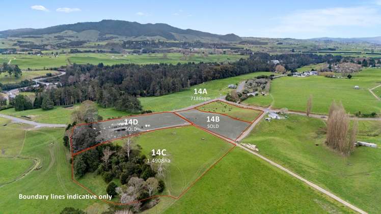 Darby Road & Arapuni Road_3