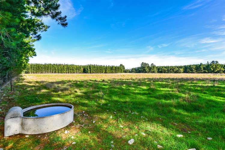 352 Knyvetts Road Southbridge_24