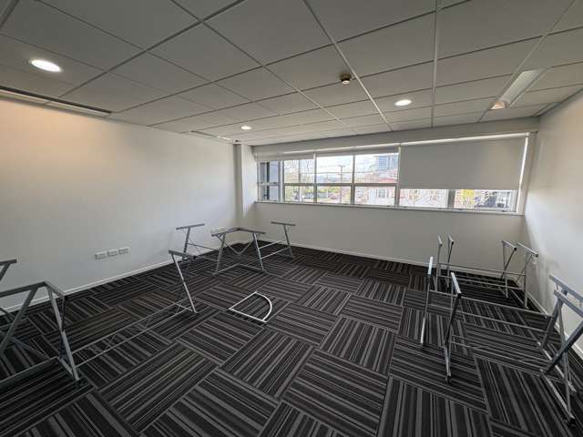 42 George Street Mount Eden_4