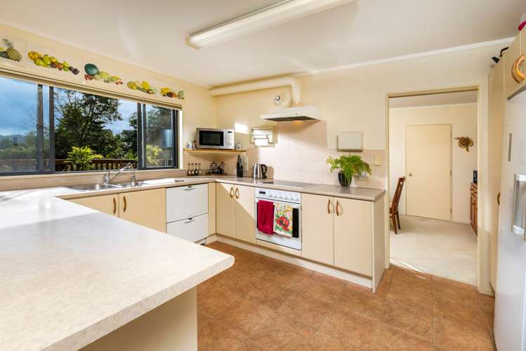 428a Blackbridge Road Dairy Flat_6