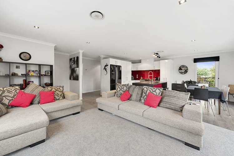 50a Irvine Street Frankton_7