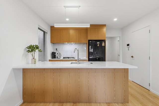 20 Tetekura Street Takanini_3